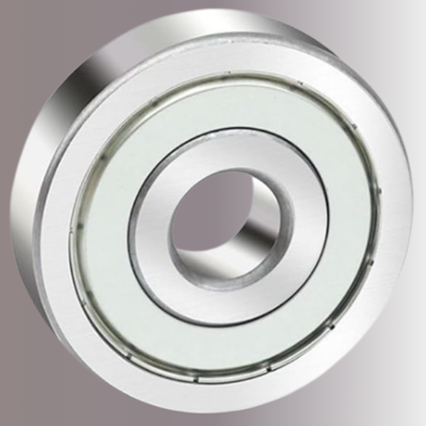 Double Row Deep Groove Ball Bearing