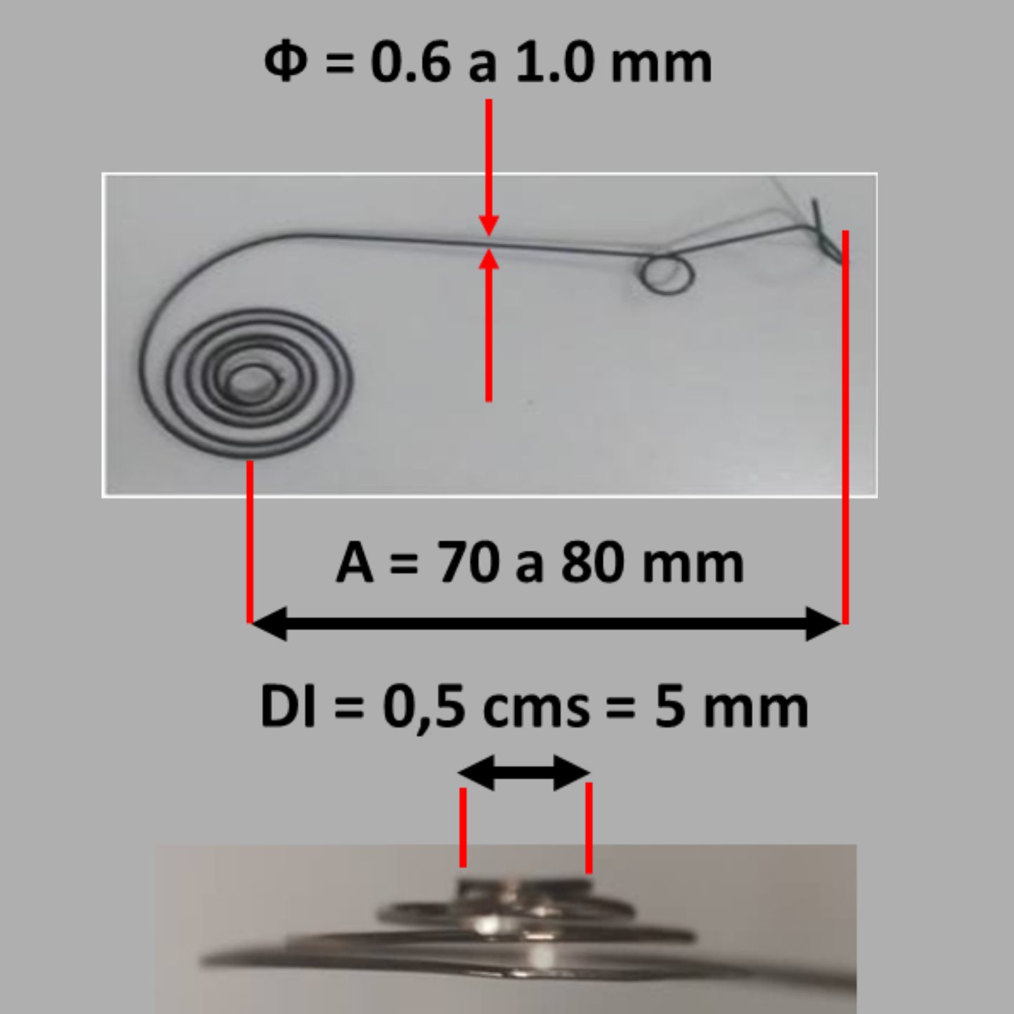 01.3) Weft Compensation Spring