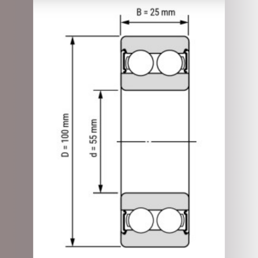 Double Row Deep Groove Ball Bearing
